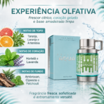 PERFUME ODYSSEY AQUA ARMAF MASC EDP 100ML - Imagem 2